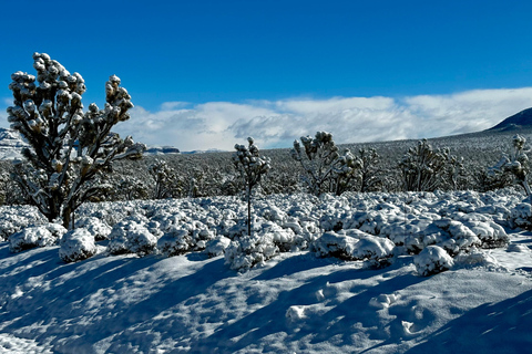 Las Vegas: Small-Group Grand Canyon Skywalk, Hoover Dam Tour