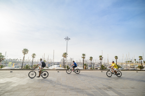 Van Barcelona: Alella Wine Tour per elektrische fiets