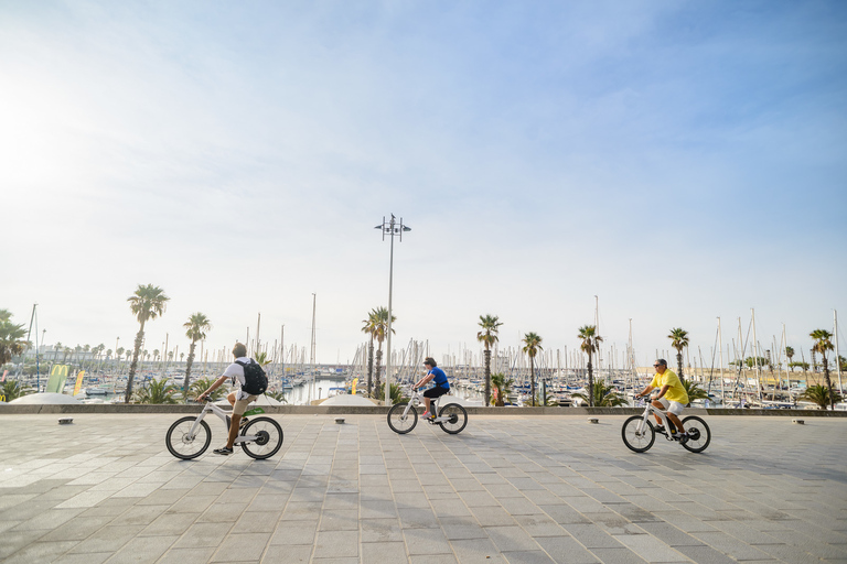 Desde Barcelona: Alella Wine Tour en bicicleta eléctrica