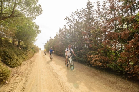 Depuis Barcelone : visite œnologique en vélo à Alta Alella