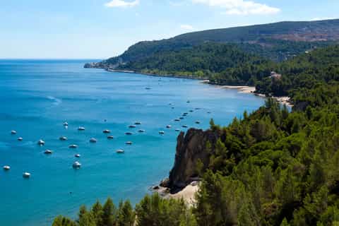 Privétour van een hele dag: Cristo Rei, Arrabida en Setubal