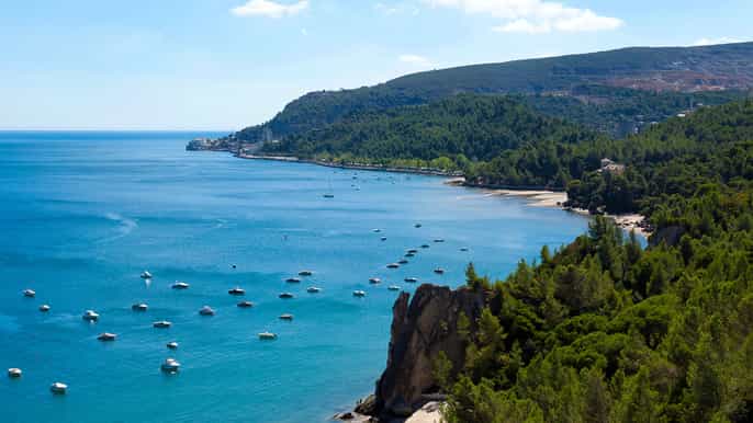 excursão privada de dia inteiro cristo rei arrabida e setúbal