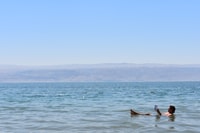 From Jerusalem, Masada, Ein Gedi, Dead Sea Guided Tour - Hizvo