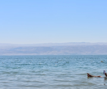 From Jerusalem: Masada, Ein Gedi, Dead Sea Guided Tour
