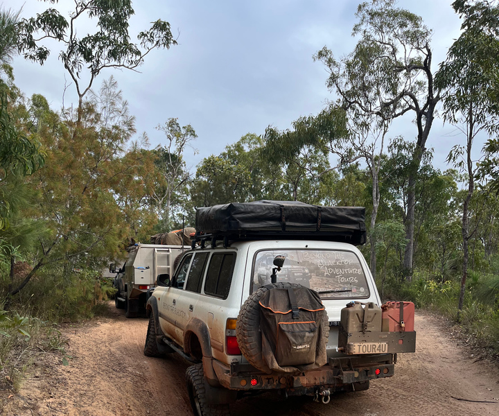 Full Day Guided Tour around the Blue Mountains