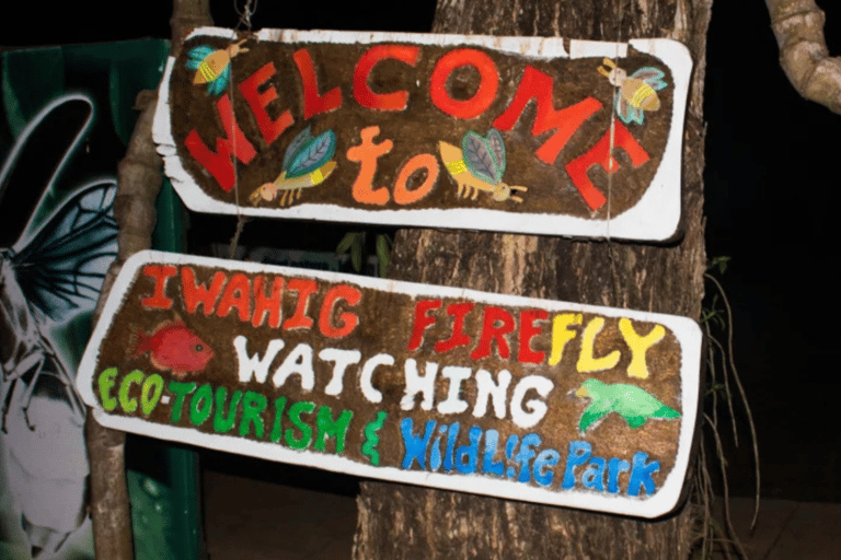 Excursión de Observación de Luciérnagas Iwahig| Puerto Princesa