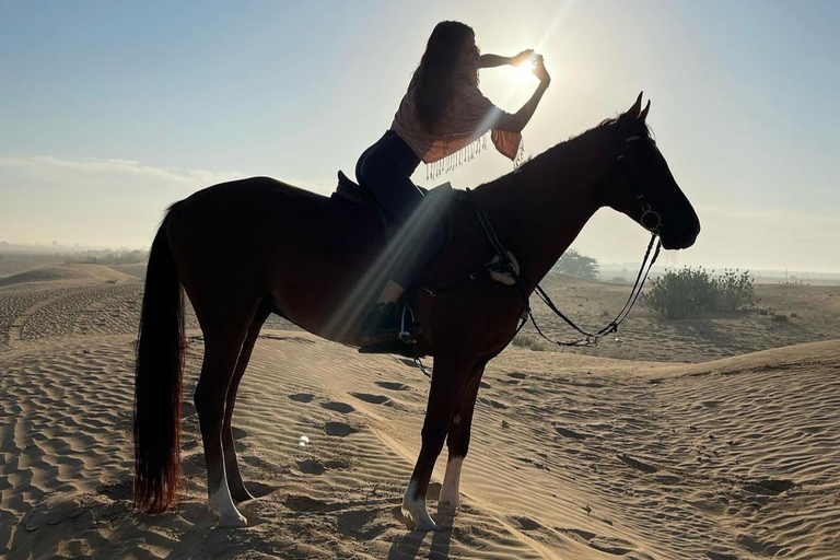 Doha : Private Horse Ride Experience With Pickup &amp; Drop Off