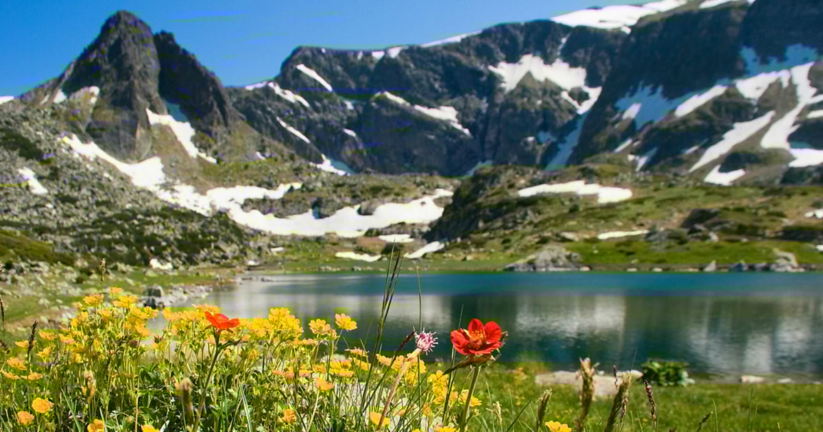 Seven Rila Lakes Hiking DayTour from Sofia GetYourGuide