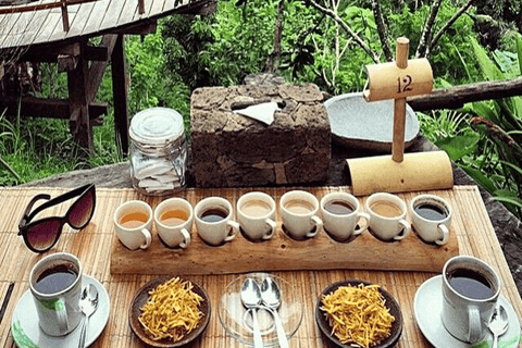 Ubud: Natura in primo piano, fauna selvatica, altalena e cascata