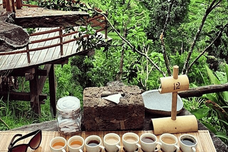 Ubud: Natura in primo piano, fauna selvatica, altalena e cascata