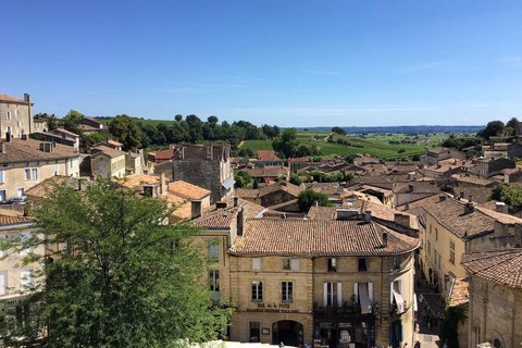 Saint Emilion Wine and Bike Tour Bordeaux: Saint-Emilion Electric Bike Tour with Picnic Lunch