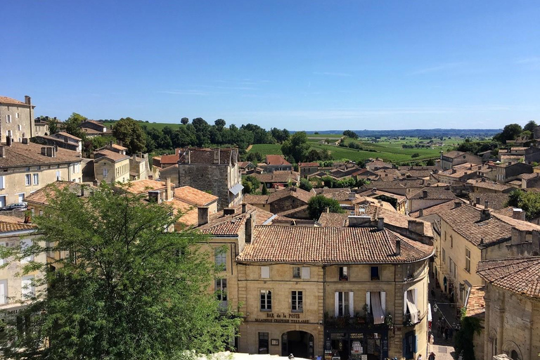 Saint Emilion Wine and Bike Tour Bordeaux: Saint-Emilion Electric Bike Tour with Picnic Lunch