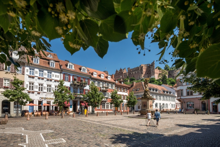 Heidelberg : visite à pied d’1,5 h dans la vieille villeVisite de groupe en allemand