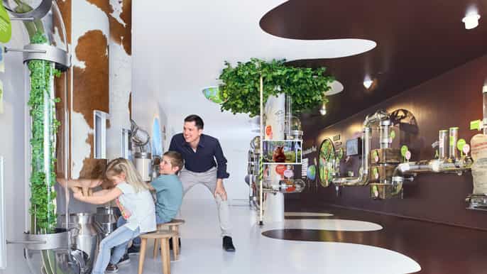maestrani’s chocolarium 1hour discovery tour ticket