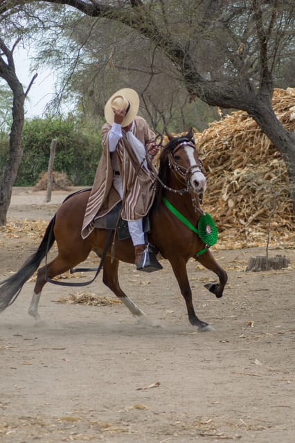 2 days tour - Horse riding / Pyramids of Tucume - Housity