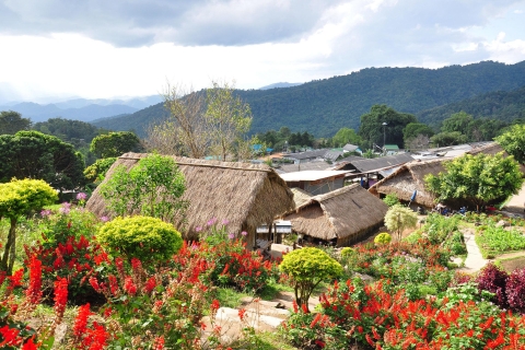 4-Hour Doi Suthep & Hmong Hill Tribe Village from Chiang Mai Small Group Tour