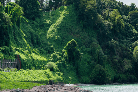 tour privato di un giorno Batumi-Gonio-Mirveti-Cascate di MakhuntsetiTour privato delle cascate di Batumi- Gonio -Mirveti - Makhuntseti