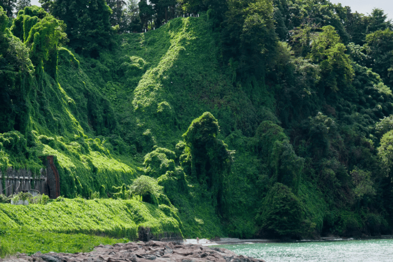 tour privado de un día por las cataratas de Batumi-Gonio-Mirveti-MakhuntsetiBatumi- Gonio -Mirveti - Cascadas de Makhuntseti tour privado