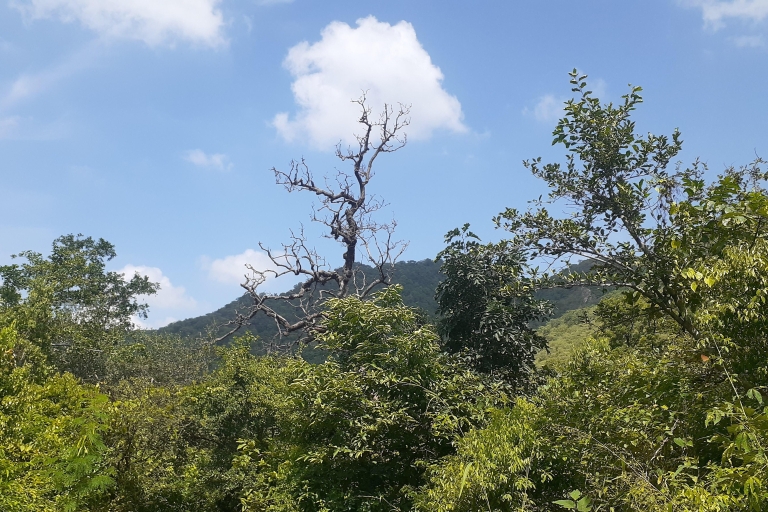 Landschaft Arawali Hills Wandertour