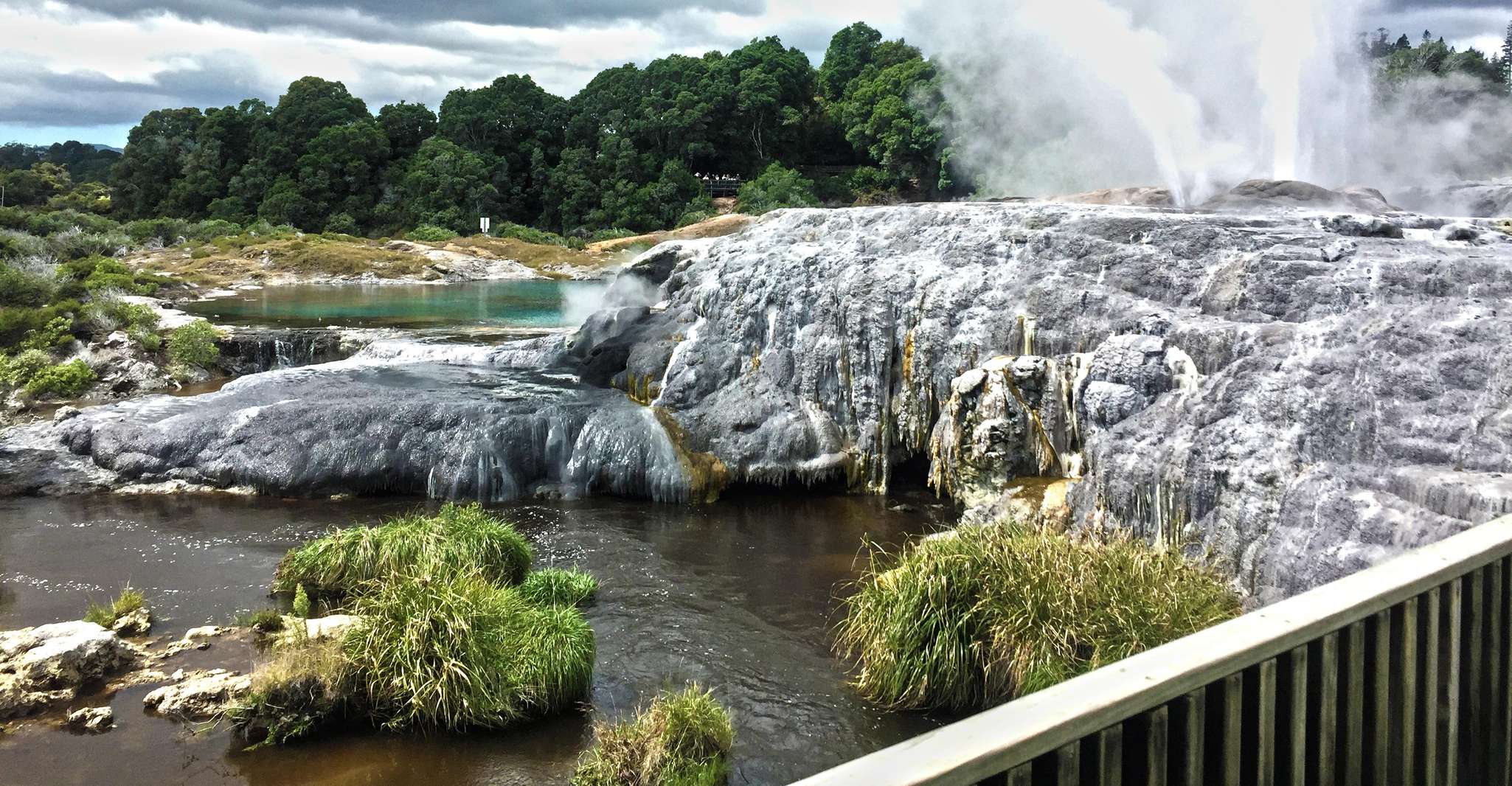 From Auckland , Waitomo Caves and Rotorua with Te Puia - Housity