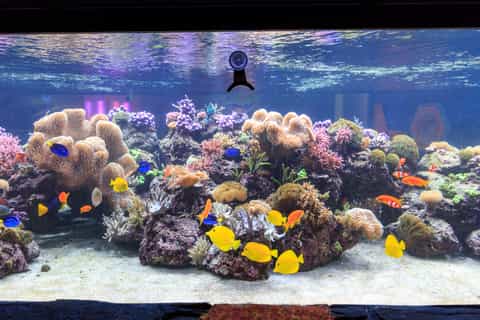 Sea Life Speyer Ticket