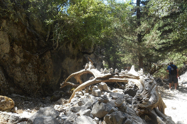 From Rethymno/Chania: Imbros Gorge Hike Private Tour