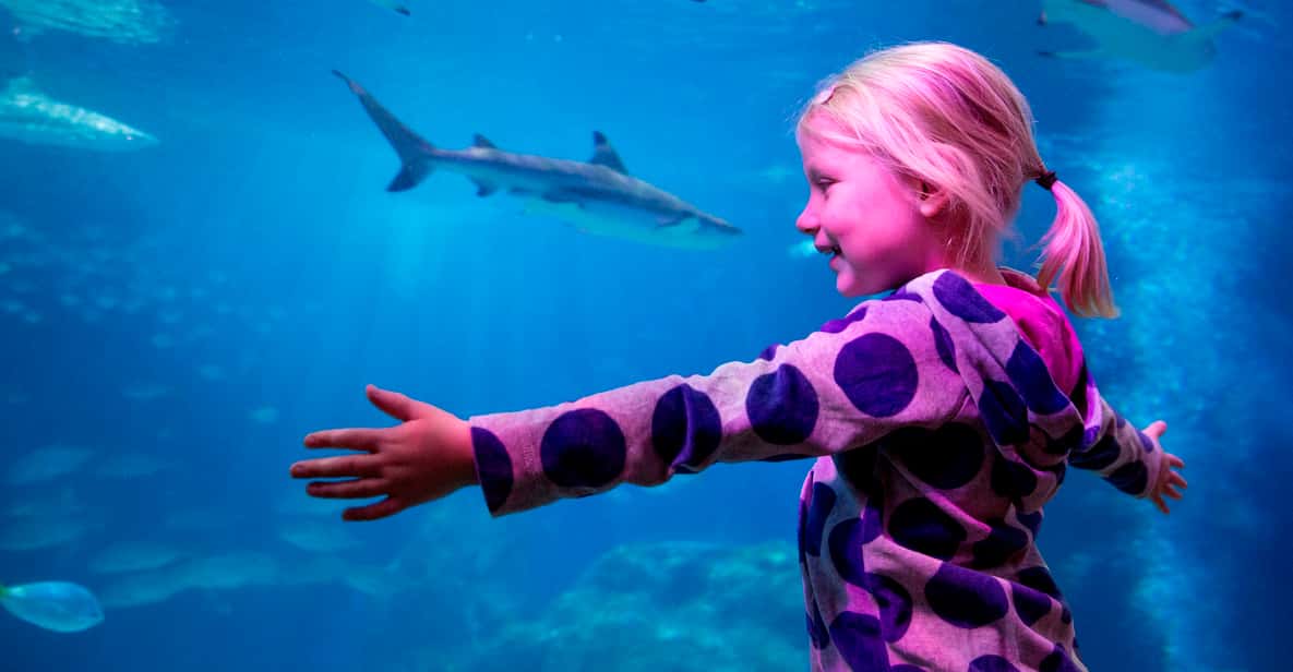 Afbeelding 7 van Oberhausen: SEA LIFE Oberhausen toegangsbewijs