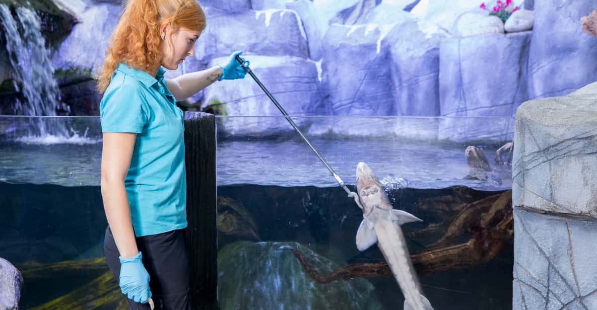 Afbeelding 3 van Oberhausen: SEA LIFE Oberhausen toegangsbewijs