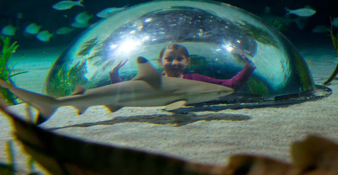 Afbeelding 10 van Oberhausen: SEA LIFE Oberhausen toegangsbewijs