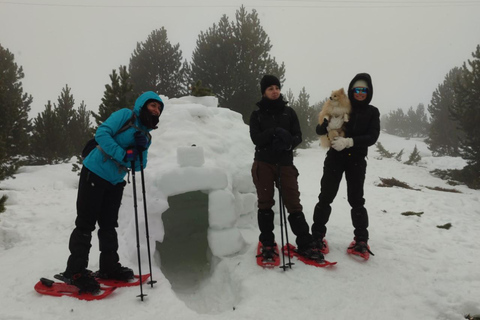 Pyrenees: Family Snowshoe Tour and Igloo Building