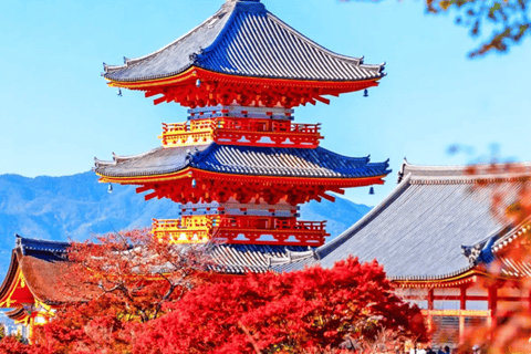 Kyoto & Nara: Guided Walking Tour with Deer Encounter