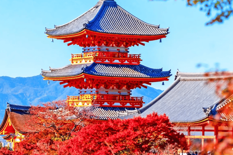 Kyoto & Nara: Guided Walking Tour with Deer Encounter