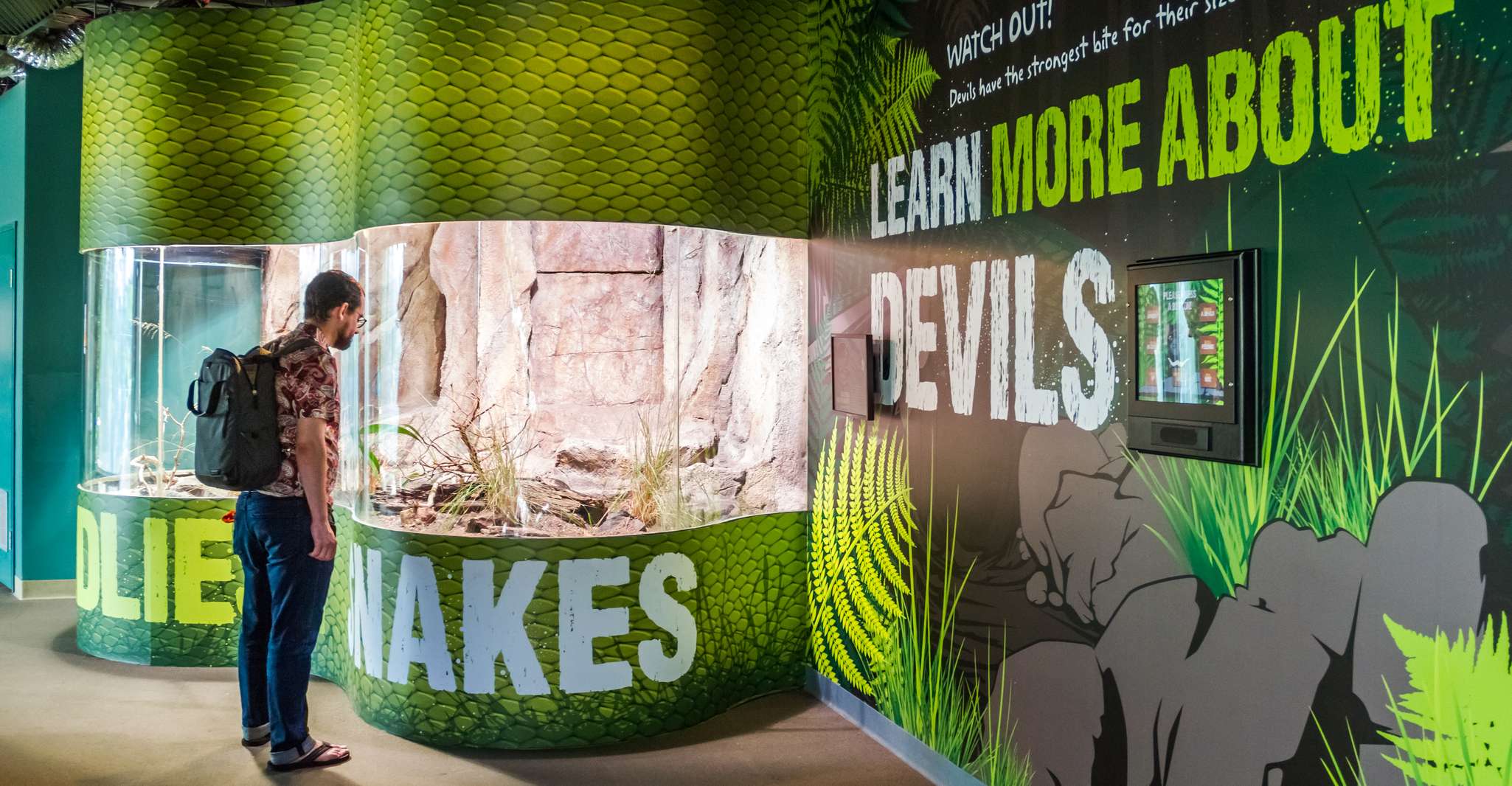 Pass di attrazione combinata, Sydney Tower Eye, Sea Life & More - Hizvo