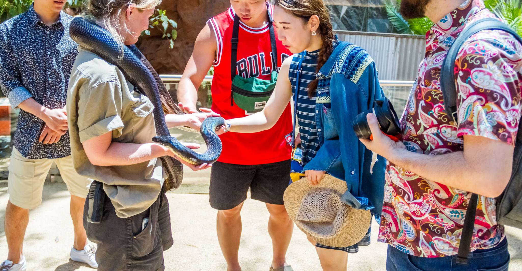 Pass di attrazione combinata, Sydney Tower Eye, Sea Life & More - Hizvo