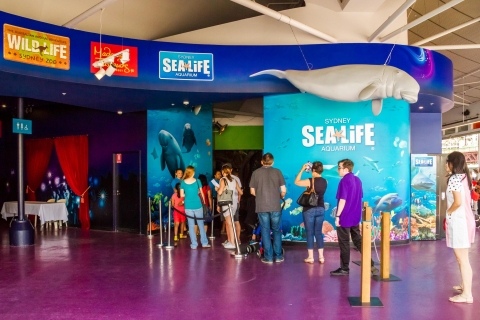 Combo Attraction Pass: Sydney Tower Eye, Sea Life & More 3 Attractions Combination Tickets