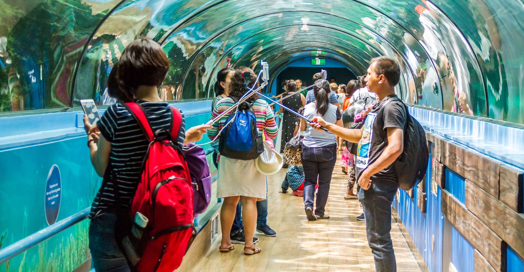 Pass di attrazione combinata, Sydney Tower Eye, Sea Life & More - Hizvo