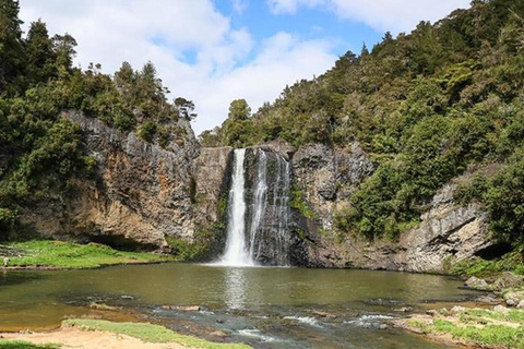 Visite des chutes d&#039;eau d&#039;Auckland