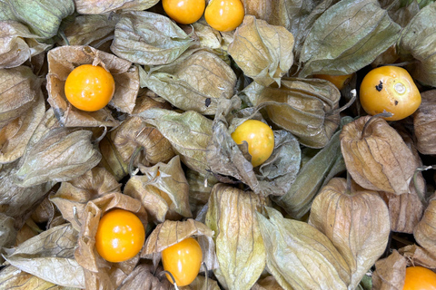 Lima: Food tour with a visit to a local market and tastings.