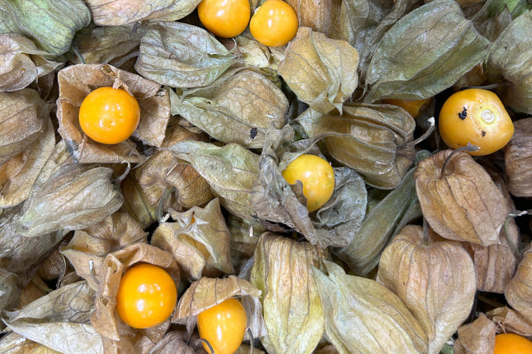 Lima: Food tour with a visit to a local market and tastings.