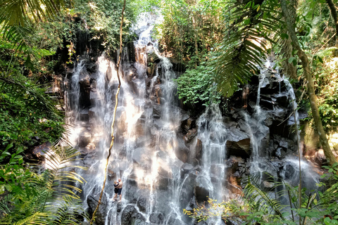 Entdecke die versteckten Juwelen der Wasserfälle in UbudGemeinsame Gruppe mit englischsprachigem Guide Tour