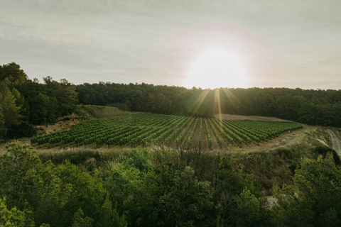Barcelona - Penedes: Guided Tour at Jean Leon: 4 wines, 4 tapas Guided Tour with Tapas: Jean Leon Journey: 4 wines, 4 stories