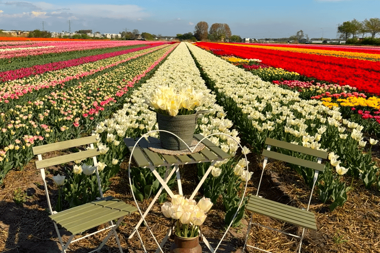 Tulips Tour: Paris to Giverny, Bruges, Keukenhof, Amsterdam Tulips Tour from Paris Giverny, Bruges, Keukenhof, Amsterdam