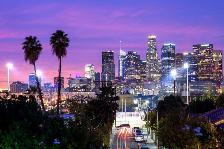 Le meilleur de Los Angeles : Visite à pied privée avec un habitantVisite privée de la ville à pied - 3Hr