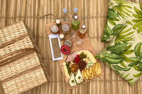 From Foz do Iguaçu: Picnic at Iguazu Falls