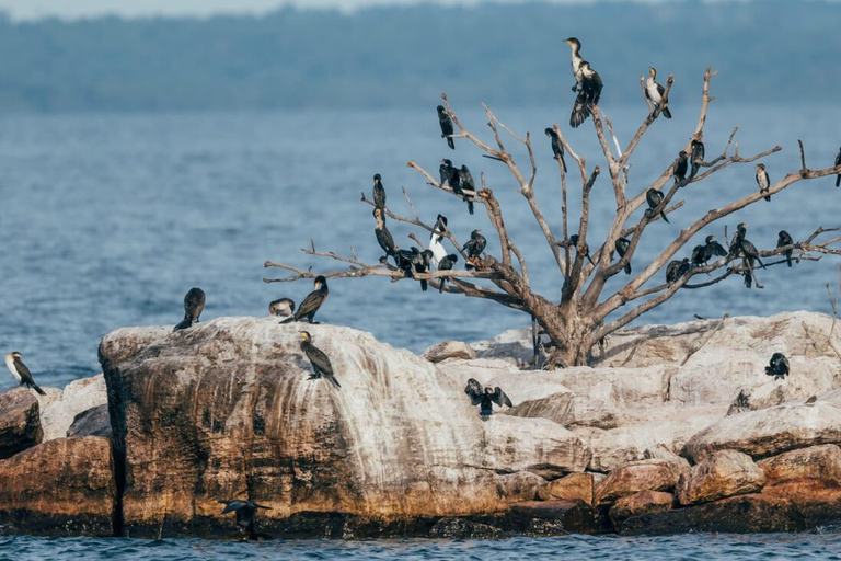 Entebbe: UWEC Behind-the-Scenes Tour & Lake Victoria Cruise