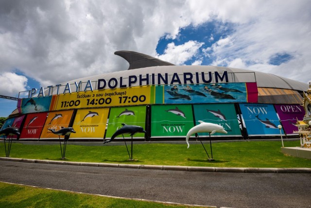Visit Pattaya Dolphinarium Admission Ticket in Pattaya
