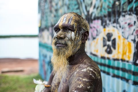 From Darwin: Tiwi Islands Cultural Day Tour by Ferry
