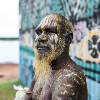 Desde Darwin: Excursión cultural de un día a las Islas Tiwi en ferry