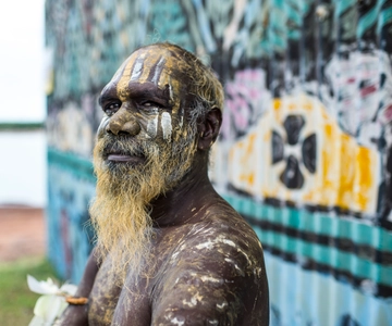 Da Darwin: Tour Tiwi By Design in traghetto