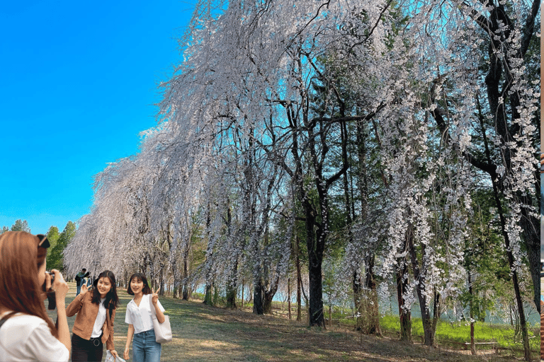 Seoul: Nami en Petite France Tour met optionele K-Garden